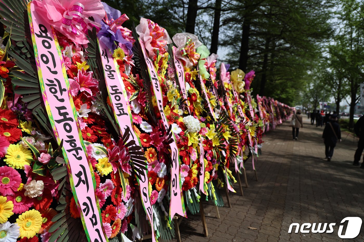 17일 오전 서울 여의도 국회 헌정회관 앞에 한동훈 국민의힘 전 비상대책위원장의 지지자들이 설치한 응원화환들이 놓여 있다. 2024.4.17/뉴스1 ⓒ News1 구윤성 기자