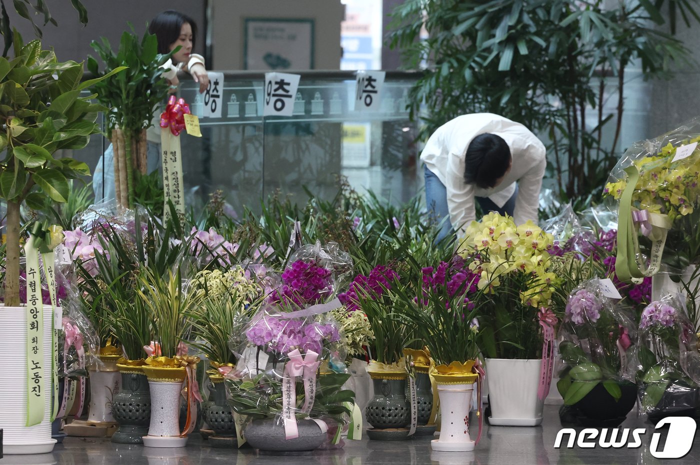 17일 서울 여의도 국회 의원회관에 제22대 국회의원 선거 당선인 앞으로 배달된 축하난이 가득 놓여 있다. 2024.4.17/뉴스1 ⓒ News1 송원영 기자