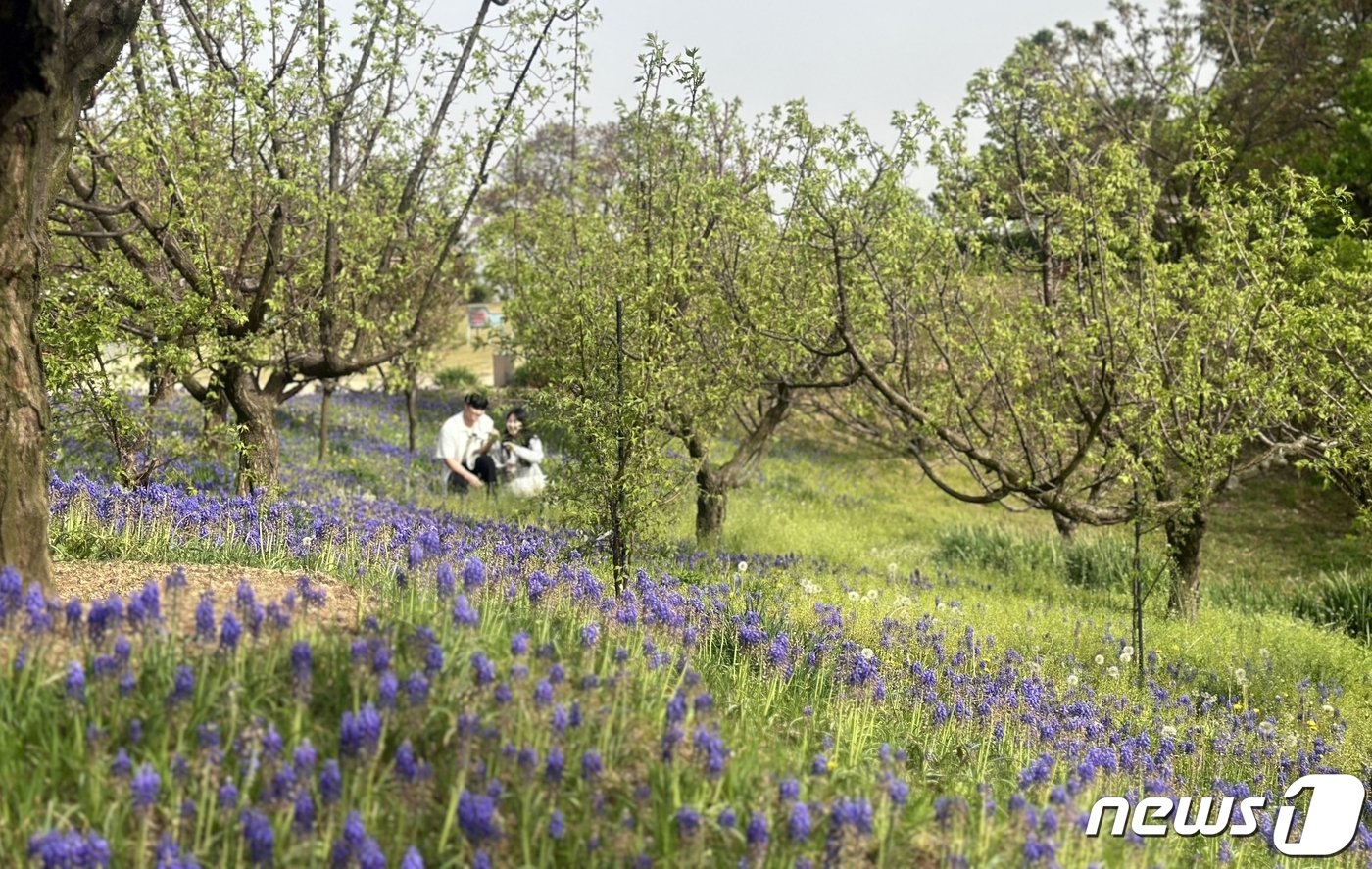 본문 이미지 - 인생샷을 남기기 위해 포즈를 취하고 있는 연인들의 모습ⓒ News1 윤슬빈 기자