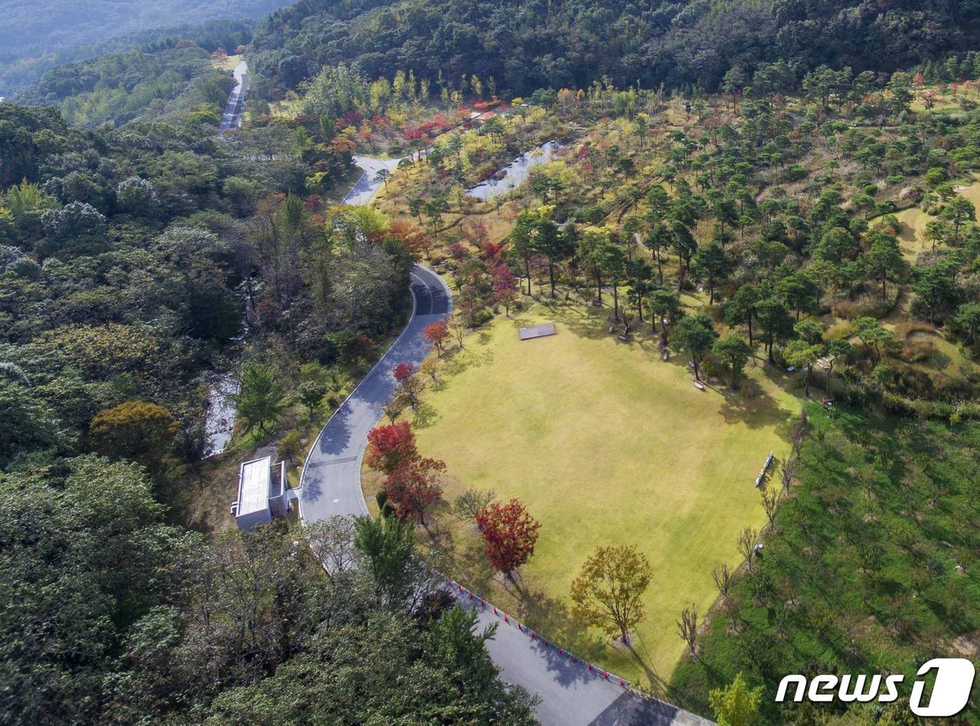 본문 이미지 - 힐링과 치유의  프라이빗 명품 숲 '포레스트캠프'(에버랜드 제공) 