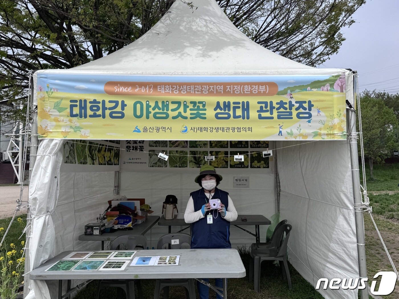 본문 이미지 - 17일 울산 태화강변에 마련된 태화강 야생 갓꽃 생태 관찰장에서 김영희 자연환경해설사가 즉석사진기로 방문객을 대상으로 기념 사진을 찍어주고 있다. 2024.4.17/뉴스1 ⓒ News1 김세은 기자