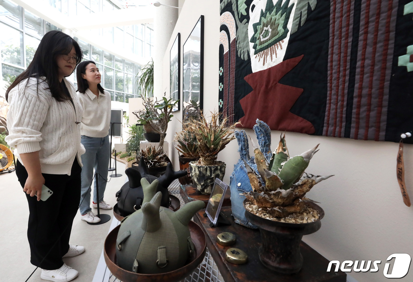 (세종=뉴스1) 김기남 기자 = 18일 세종시 국립세종수목원에서 진행중인 반려식물 기획전시 '넌 어느 별에서 왔니?'를 찾은 시민들이 독특한 모양의 괴근식물들을 관람하고 있다.7 …