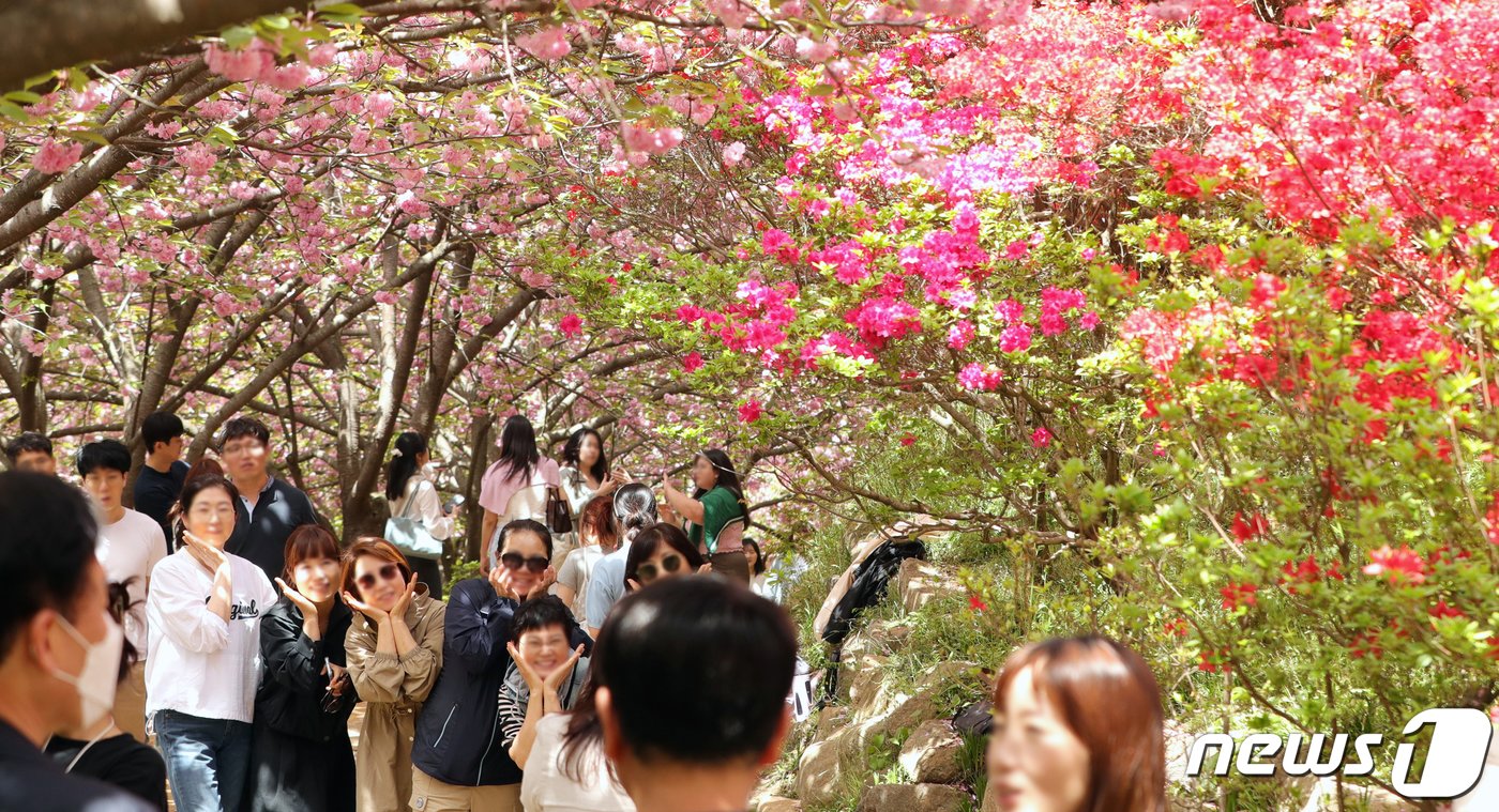 18일 전북자치도 전주시 완산공원 꽃동산이 꽃구경을 나온 상춘객들로 북적이고 있다. 2024.4.18/뉴스1 ⓒ News1 유경석 기자