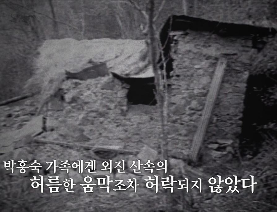 본문 이미지 - 소년 박흥숙이 가족을 위해 60일간 지은 산속 움막집. (SBS '꼬리에 꼬리를 무는 그날 이야기')