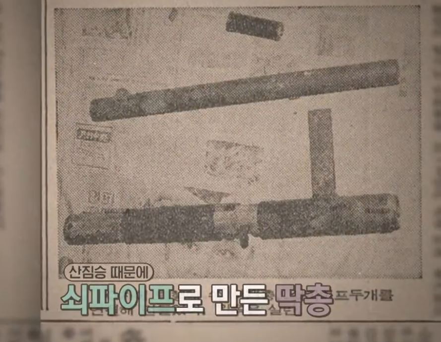 본문 이미지 - (SBS '꼬리에 꼬리를 무는 그날 이야기')