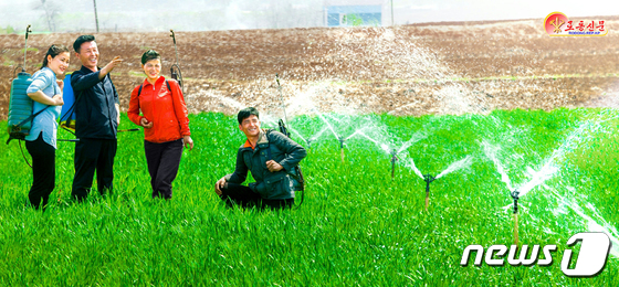 북한, 농업 관개체계 정비보강 박차…수지관 연장 공사 마감단계