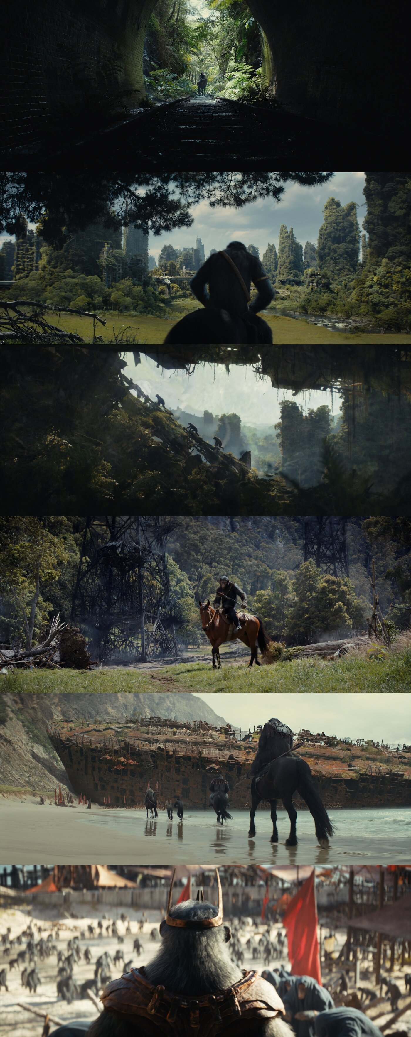 본문 이미지 - 혹성탈출: 새로운 시대