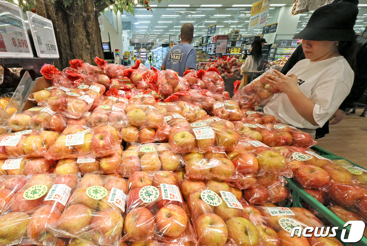 (서울=뉴스1) 장수영 기자 = 21일 오후 서울의 한 마트를 찾은 시민이 사과를 구매하고 있다.경제협력개발기구(OECD)에 따르면 지난 2월 우리나라 '식료품 및 비주류음료' 물 …