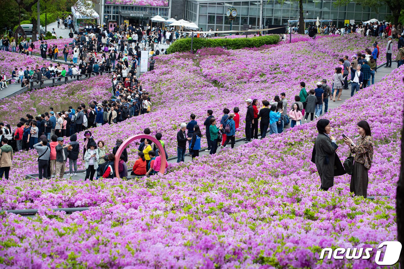 본문 이미지 - 21일 서울 노원구 2024 불암산 철쭉제를 찾은 시민들이 불암산 힐링타운 일대에 조성된 철쭉동산에서 봄을 만끽하고 있다. 2024.4.21/뉴스1 ⓒ News1 유승관 기자