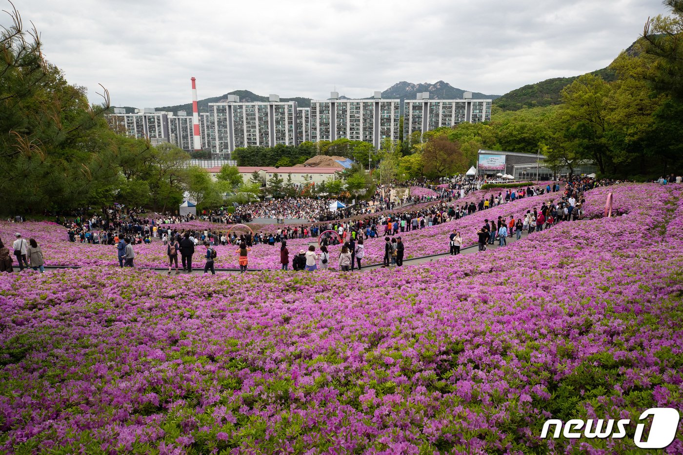 21일 서울 노원구 2024 불암산 철쭉제를 찾은 시민들이 불암산 힐링타운 일대에 조성된 철쭉동산에서 봄을 만끽하고 있다. 2024.4.21/뉴스1 ⓒ News1 유승관 기자