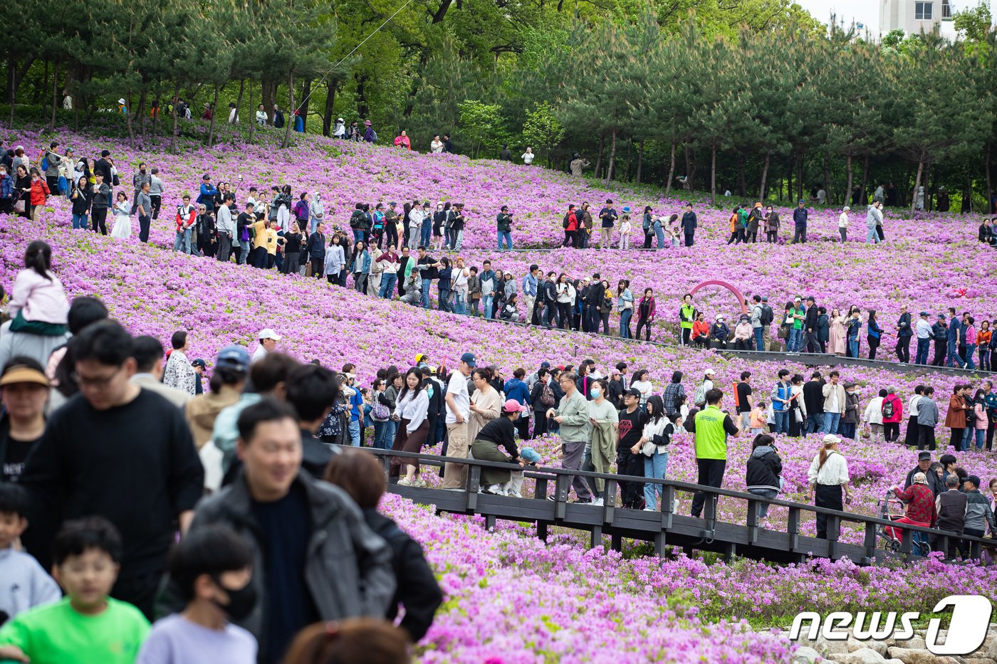 21일 서울 노원구 2024 불암산 철쭉제를 찾은 시민들이 불암산 힐링타운 일대에 조성된 철쭉동산에서 봄을 만끽하고 있다. 2024.4.21/뉴스1 ⓒ News1 유승관 기자