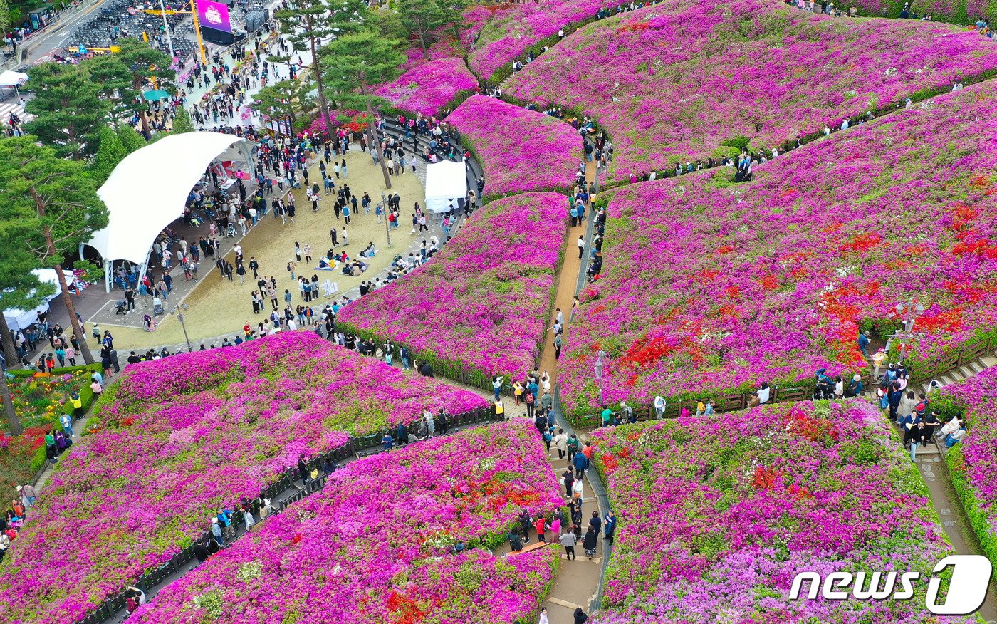 21일 오후 경기도 군포시 철쭉동산에서 열린 2024 군포철쭉축제를 찾은 시민들이 즐거운 시간을 보내고 있다. 2024.4.21/뉴스1 ⓒ News1 이재명 기자