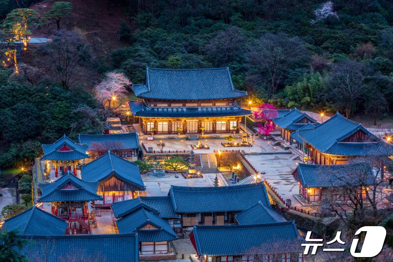 본문 이미지 - 대한불교조계종 19교구 지리산대화엄사 교구장 덕문 스님은 2024 제4회 화엄사 홍매화 · 들매화 사진 콘테스트의 응모작 심사 결과 수상작들을 발표했다. 사진은 전문작가 부문 교욱원장 상을 수상한 신윤철 씨의 작품 &#39;화엄사야경과 홍매화&#39;. 2024.4.23/뉴스1
