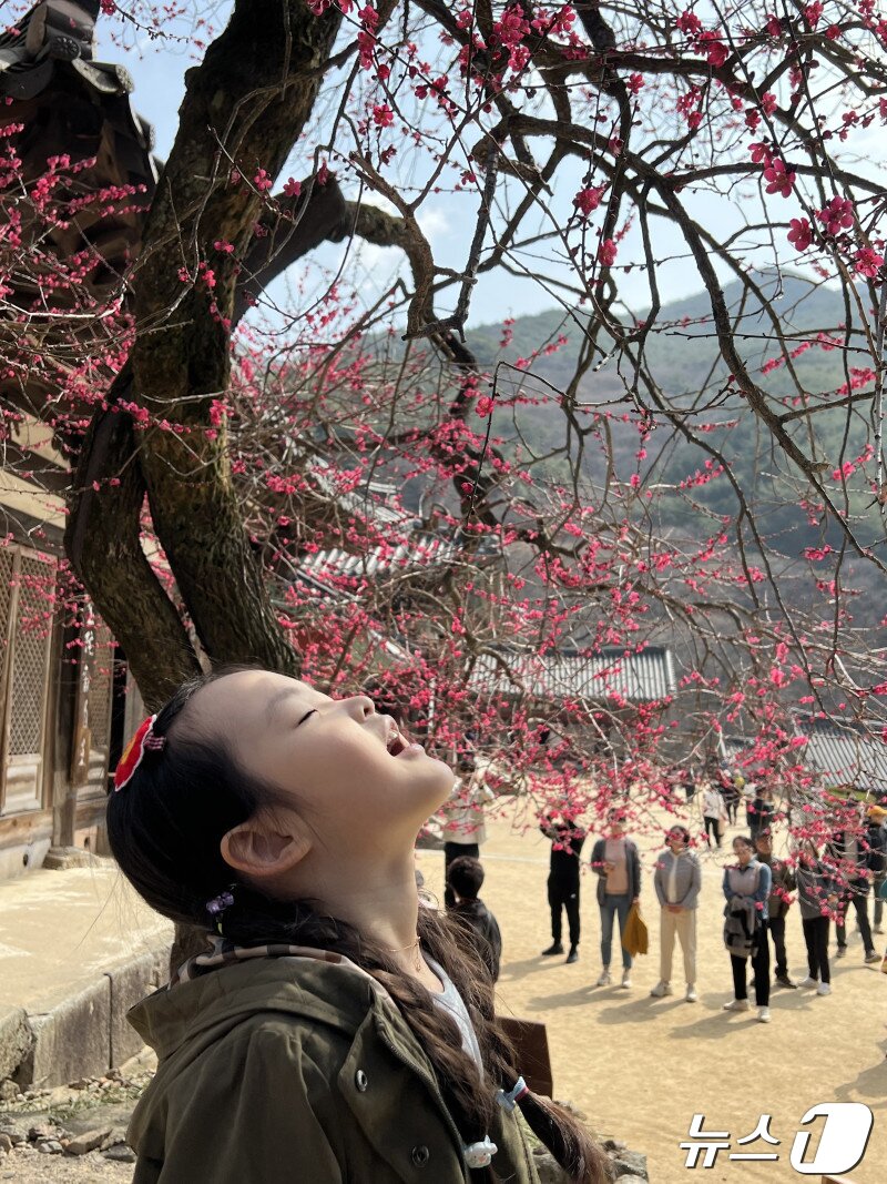 본문 이미지 - 대한불교조계종 19교구 지리산대화엄사 교구장 덕문 스님은 2024 제4회 화엄사 홍매화 · 들매화 사진 콘테스트의 응모작 심사 결과 수상작들을 발표했다. 사진은 휴대폰 부문 부주지스님 상을 수상한 이보라 씨 작품 &#39;태어나 처음 만남 홍매화&#39;. 2024.4.23./뉴스1