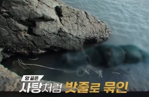 본문 이미지 - 용감한형사들3 방송 화면 갈무리
