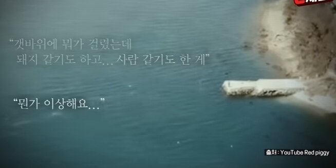본문 이미지 - 용감한형사들3 방송 화면 갈무리