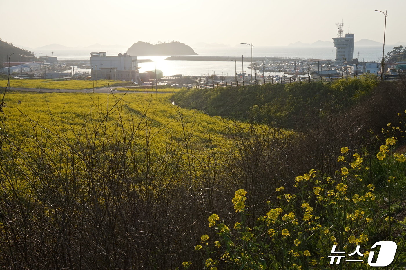 서망항  2024.4.26./뉴스1 ⓒ News1 조영석 기자 