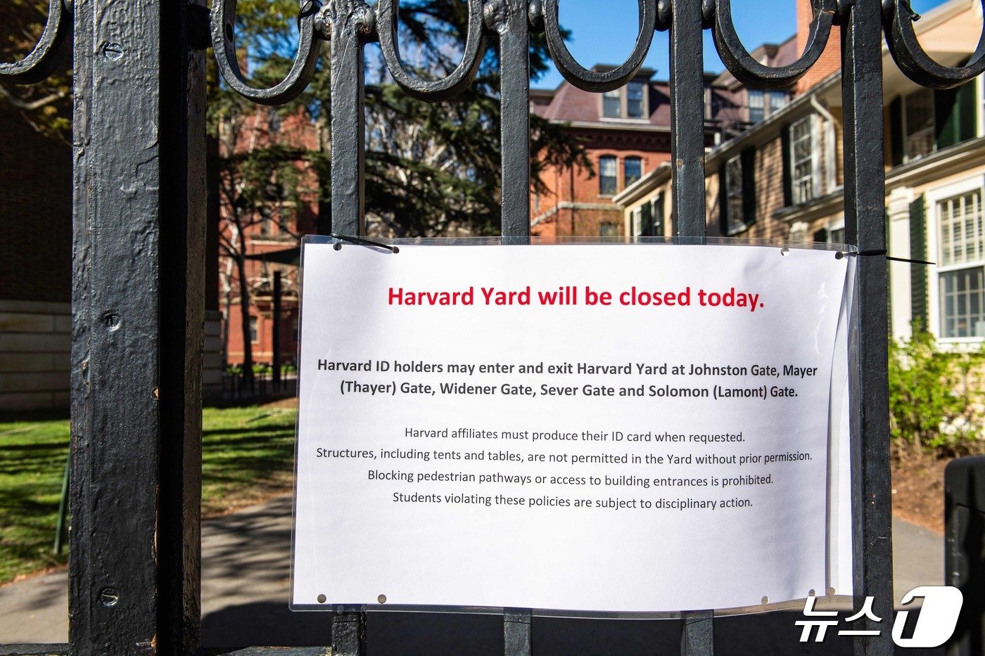 본문 이미지 - 대학 캠퍼스 안팎의 친(親)팔레스타인 시위가 확산하고 있는 가운데 22일(현지시간) 하버드 대학교 정문에 텐트 설치 등을 금지하는 공고문이 붙었다. 2024.04.23 ⓒ AFP=뉴스1 ⓒ News1 조소영 기자