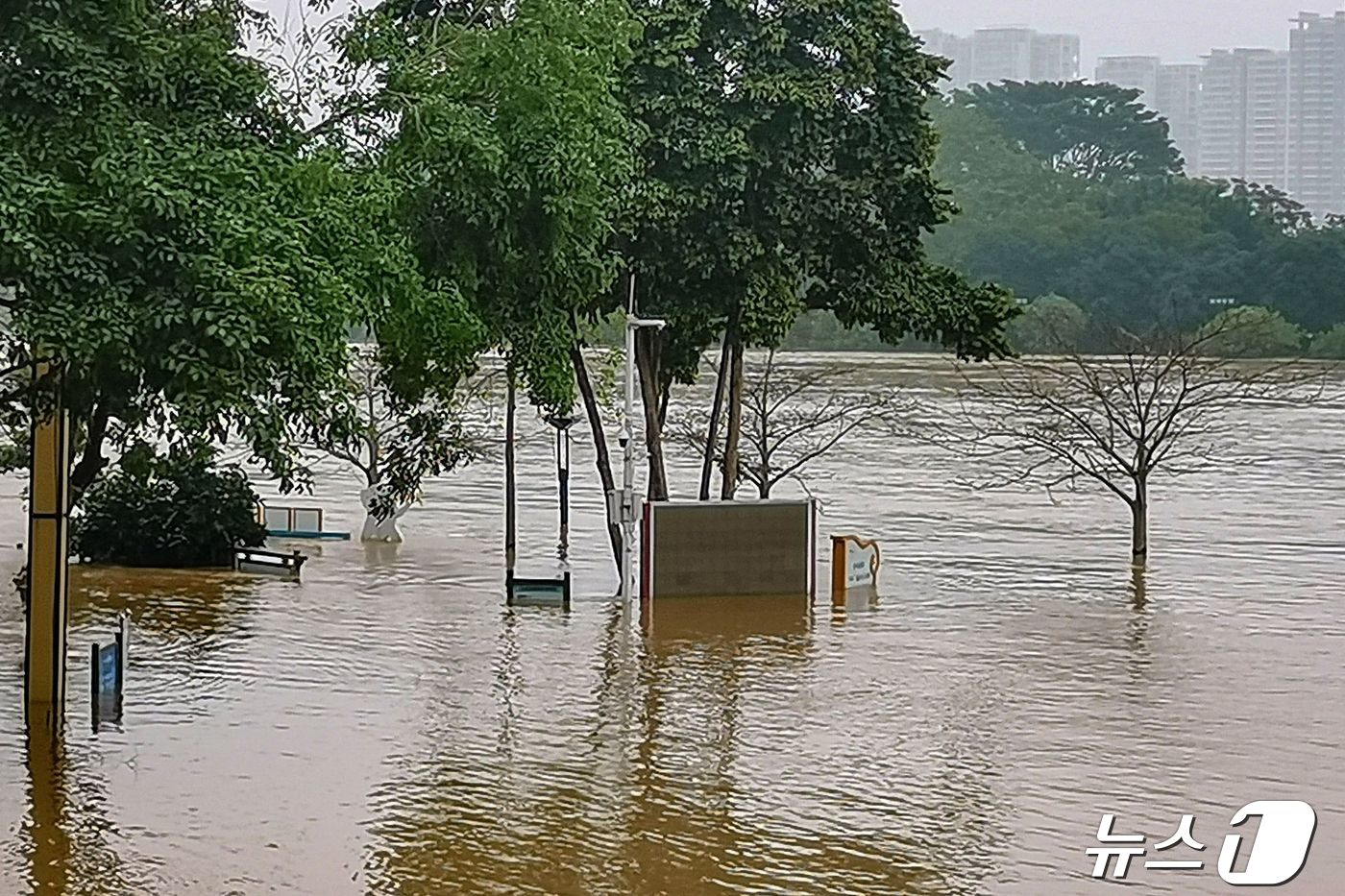 (칭위안 AFP=뉴스1) 우동명 기자 = 22일 (현지시간) 폭우가 쏟아진 중국 광둥성 칭위안의 공원이 물바다가 된 모습이 보인다. 2024. 04. 24ⓒ AFP=뉴스1