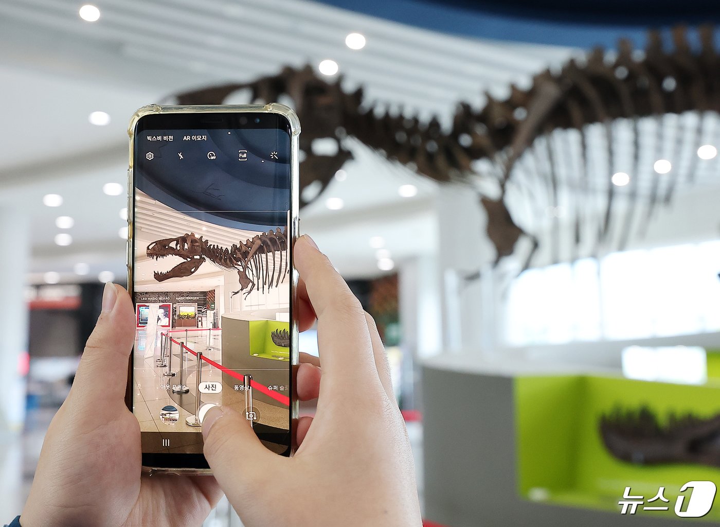 본문 이미지 - 24일 오후 경기도 과천 국립과천과학관을 찾은 한 어린이가 중앙홀에 전시된 세계 최대 티라노사우루스 화석 ‘스코티(scotty)’를 관람하고 있다. 2024.4.24/뉴스1 ⓒ News1 김진환 기자