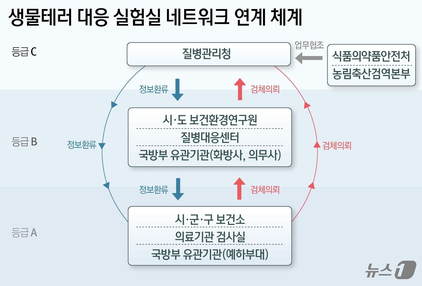 본문 이미지 - ⓒ News1 윤주희 디자이너