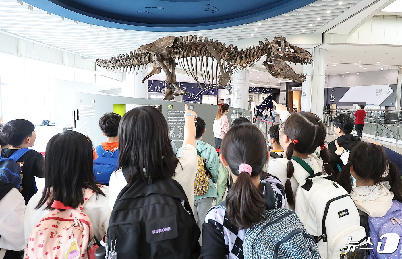 본문 이미지 - 24일 오후 경기도 과천 국립과천과학관을 찾은 어린이들이 중앙홀에 전시된 세계 최대 티라노사우루스 화석 ‘스코티(scotty)’를 관람하고 있다. 2024.4.24/뉴스1 ⓒ News1 김진환 기자