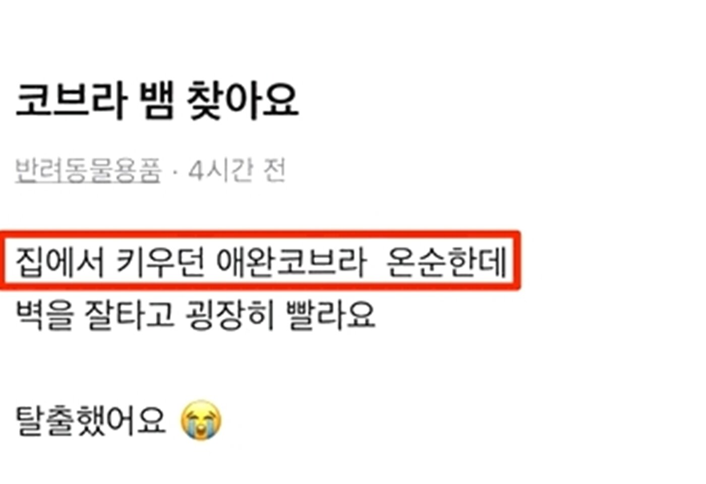 본문 이미지 - &#40;JTBC &#39;사건반장&#39; 갈무리&#41;