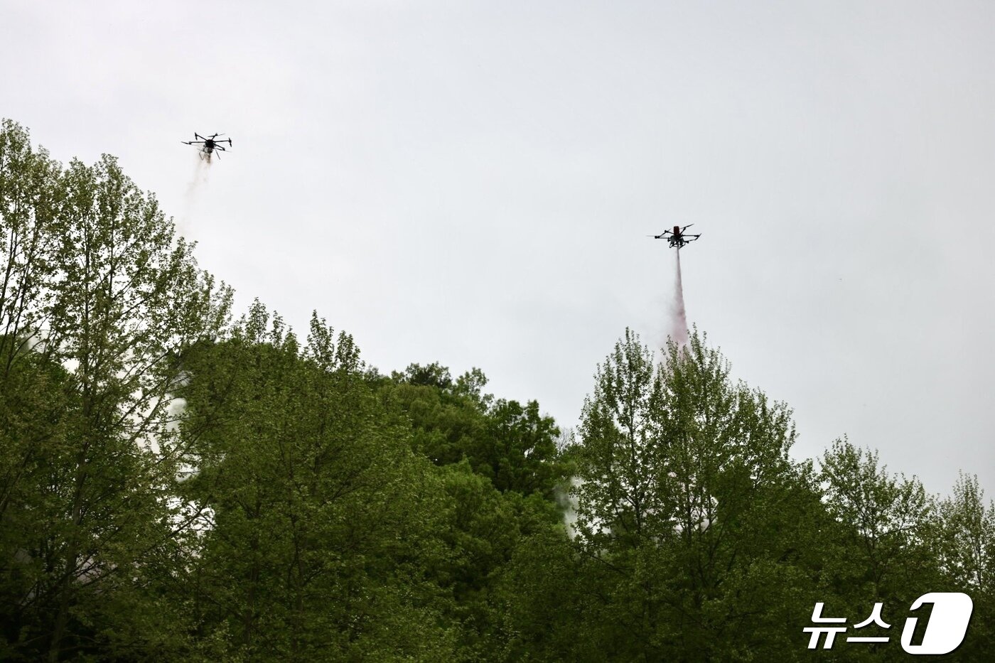 본문 이미지 -  고압고중량 산불진화 드론사진(산림청 제공) / 뉴스1