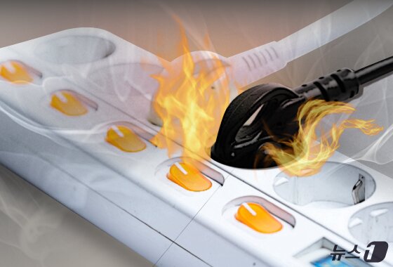 본문 이미지 - ⓒ News1 김지영 디자이너