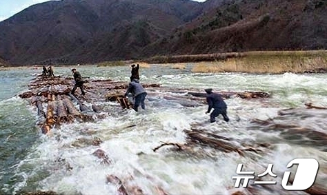 북한, 장진강의 첫 통나무 \'떼몰이\' 진행