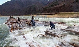 북한, 장진강의 첫 통나무 '떼몰이' 진행