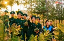 나무심기 강조하는 북한…