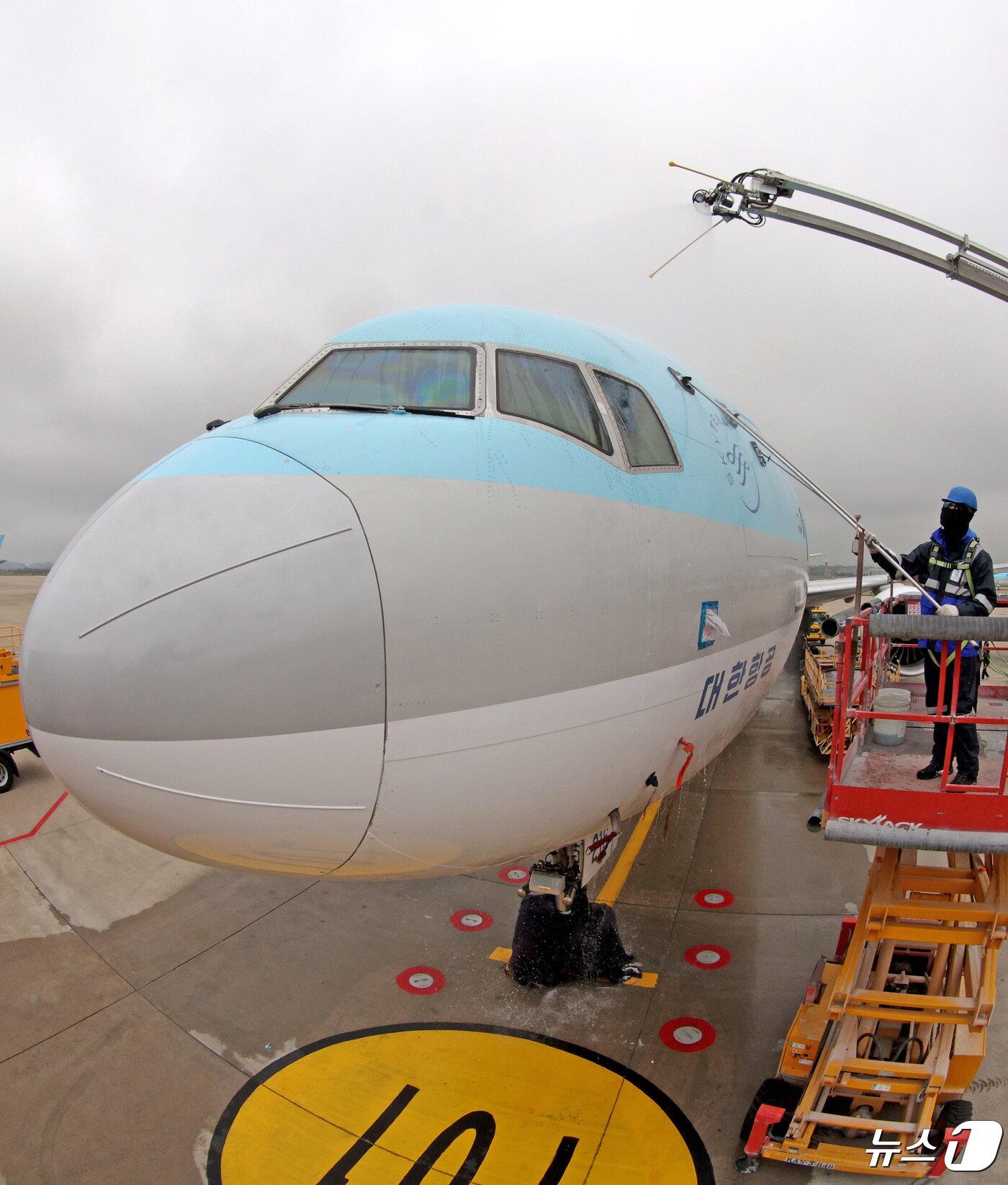 본문 이미지 - 25일 오전 인천 중구 인천국제공항 대한항공 격납고에서 직원들이 봄을 맞아 항공기 동체 세척을 하고 있다. 2024.4.25/뉴스1 ⓒ News1 장수영 기자