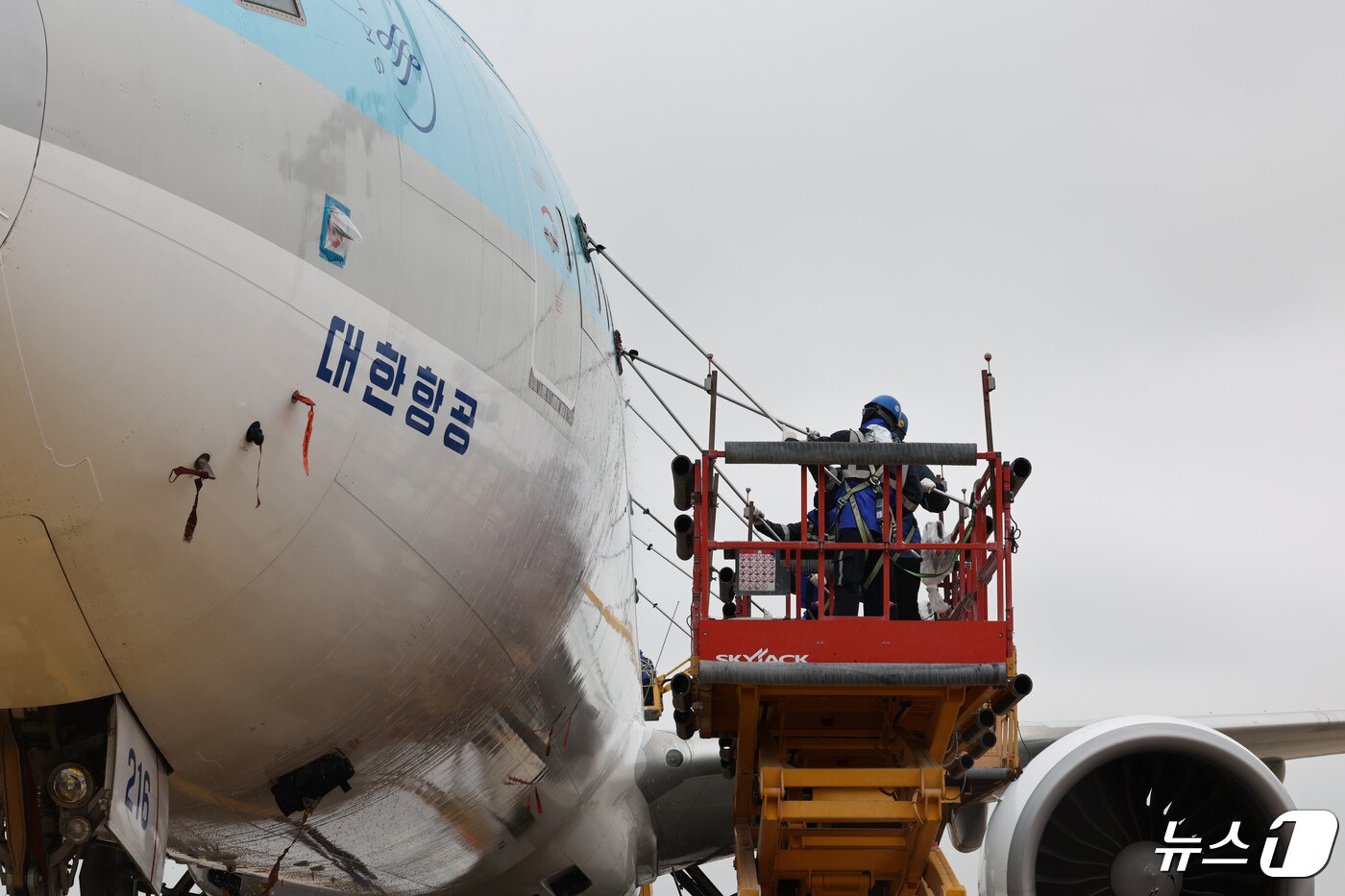 본문 이미지 - 25일 오전 인천 중구 인천국제공항 대한항공 격납고에서 직원들이 봄을 맞아 항공기 동체 세척을 하고 있다. (공동취재) 2024.4.25/뉴스1 ⓒ News1 장수영 기자