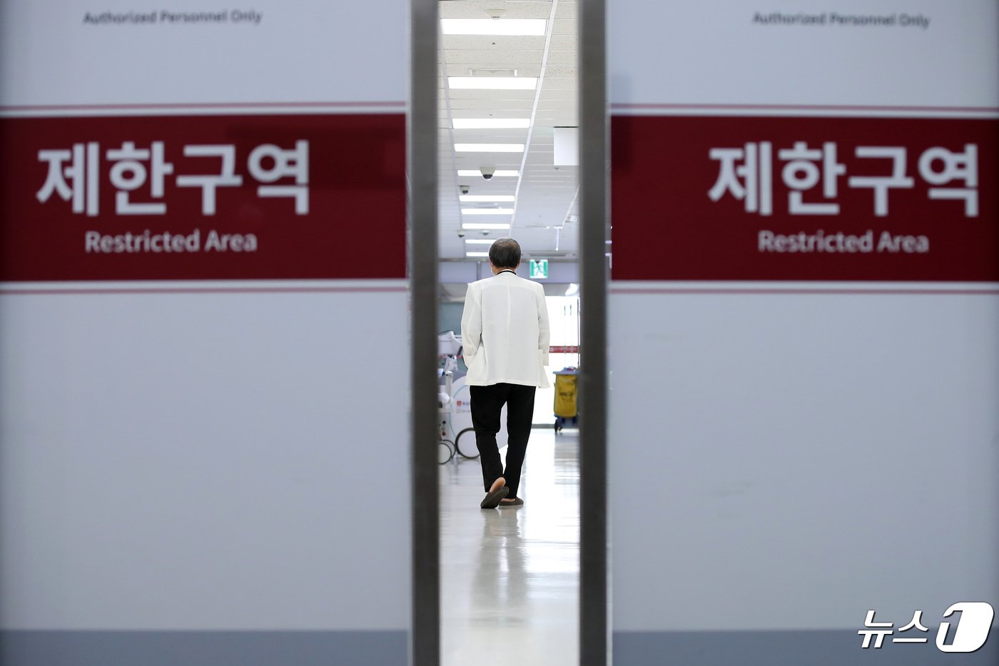 본문 이미지 - 의대 증원 등 정부의 의료개혁에 반발하는 전국 의과대학 교수들이 제출한 사직서의 효력이 발생한 25일 대구의 한 대학병원에서 의사가 응급실로 들어가고 있다. 2024.4.25/뉴스1 ⓒ News1 공정식 기자