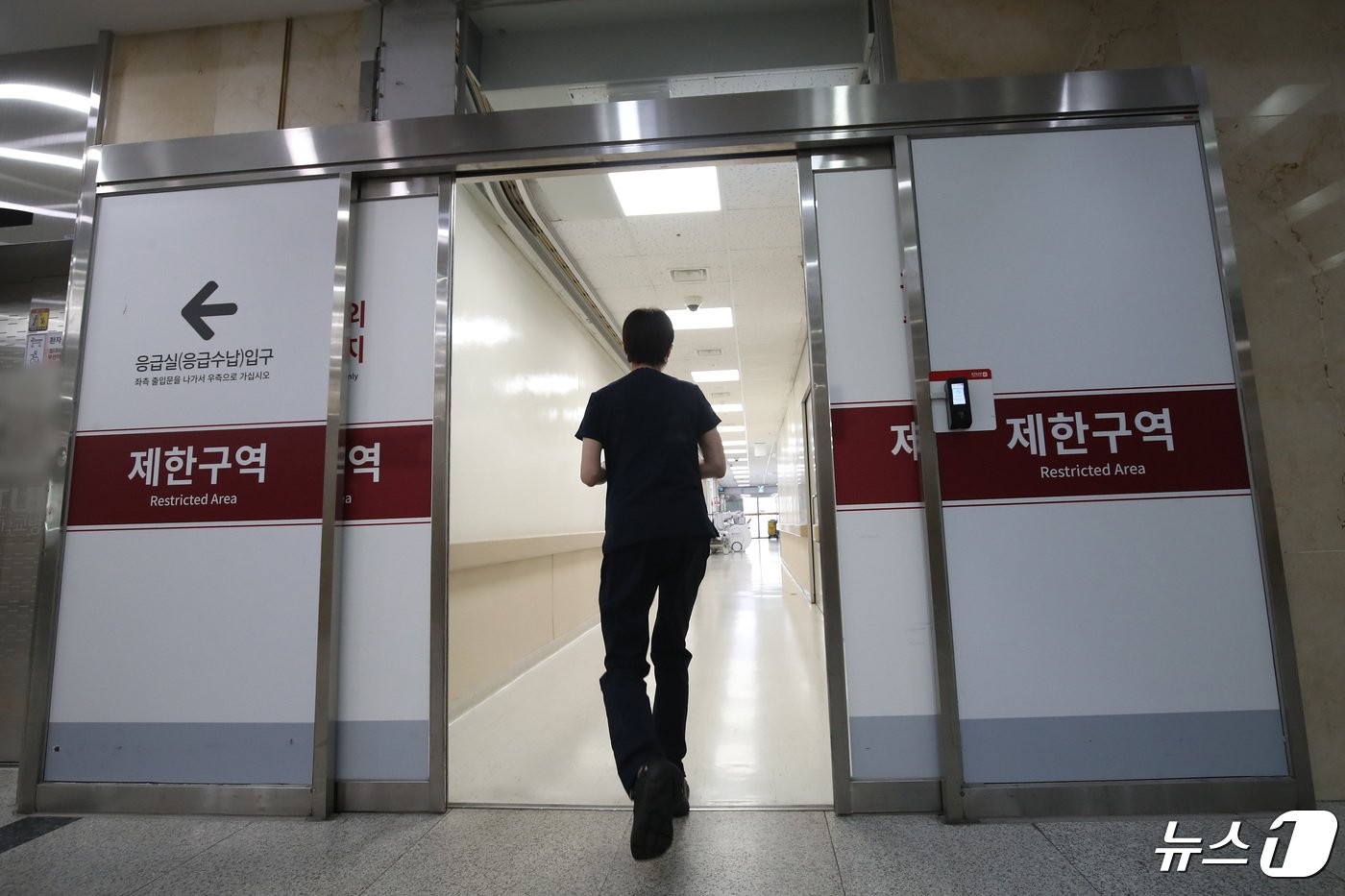 본문 이미지 - 의대 증원 등 정부의 의료개혁에 반발하는 전국 의과대학 교수들이 제출한 사직서의 효력이 발생한 25일 대구의 한 대학병원에서 의료진이 응급실로 들어가고 있다. 2024.4.25/뉴스1 ⓒ News1 공정식 기자