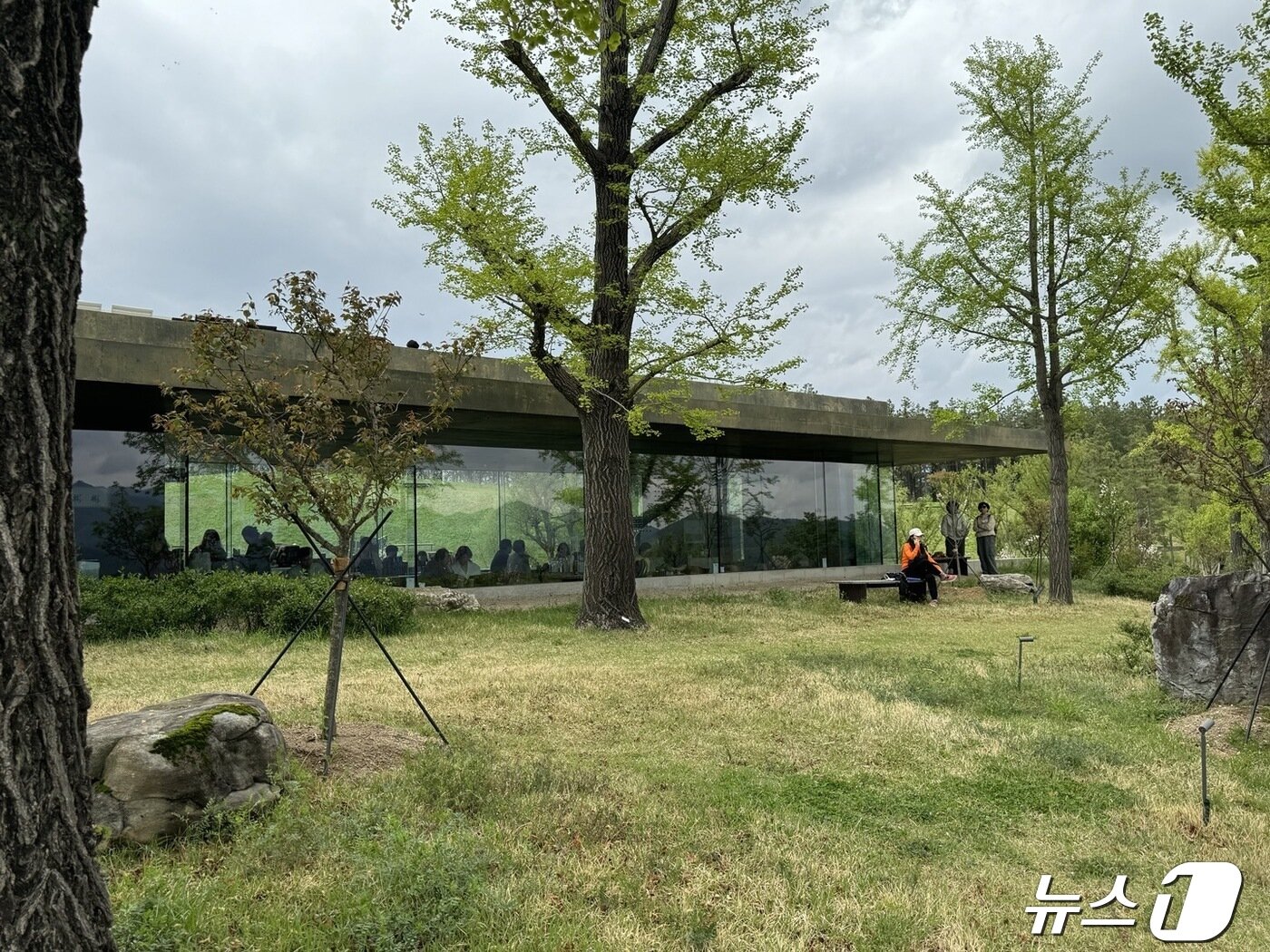 본문 이미지 - 사유원 카페 '가가빈빈'의 모습. 가가빈빈에서는 풍설기천년에서 채취한 모과로 만든 차를 판매한다. ⓒ News1 김형준 기자