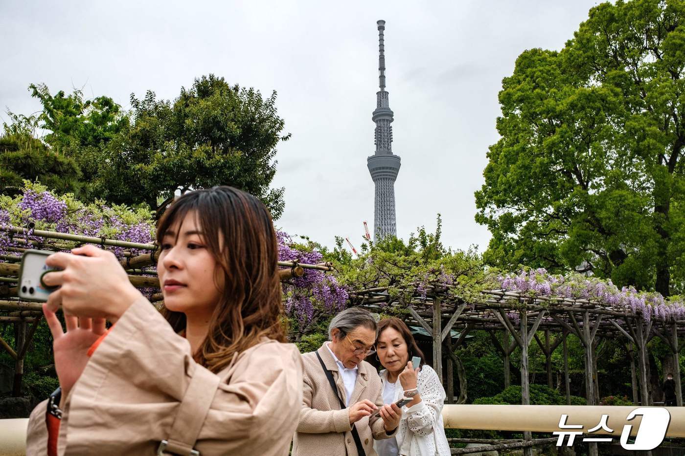 본문 이미지 - 일본 도쿄의 관광객들 ⓒ AFP=뉴스1