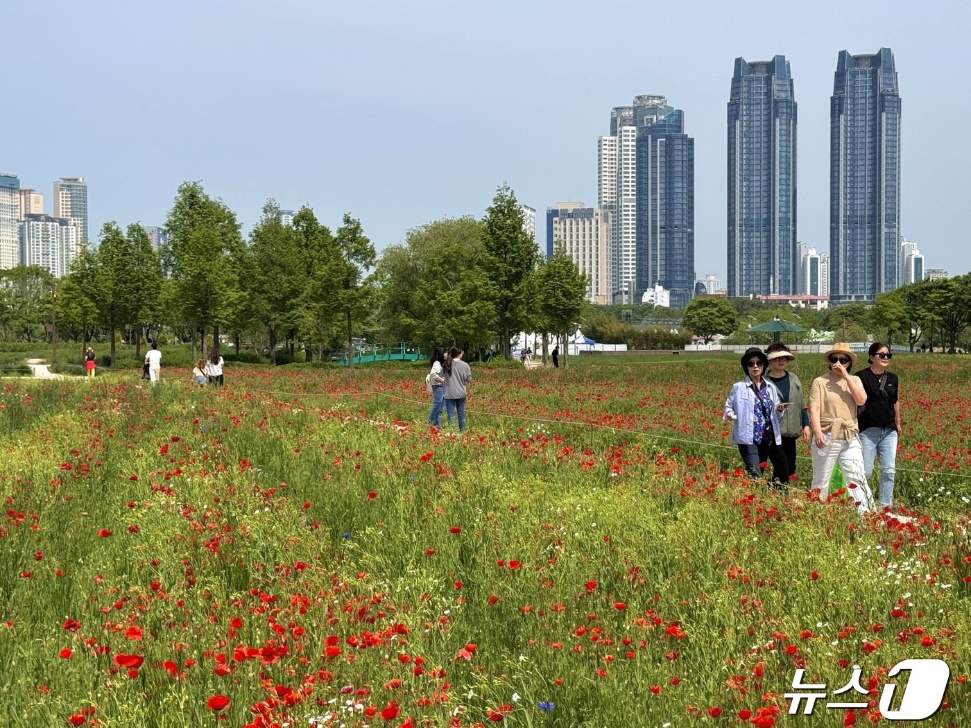 28일 울산 중구 태화강국가정원에 팬지가 가득 핀 길을 따라 시민들이 산책하고 있다. 2024.4.28/뉴스1 ⓒ News1 김세은 기자