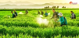 북한, 알곡 생산 성과 위한 선진영농기술 체득 강조