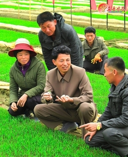 북한, '과학기술' 적용한 농업 강조…