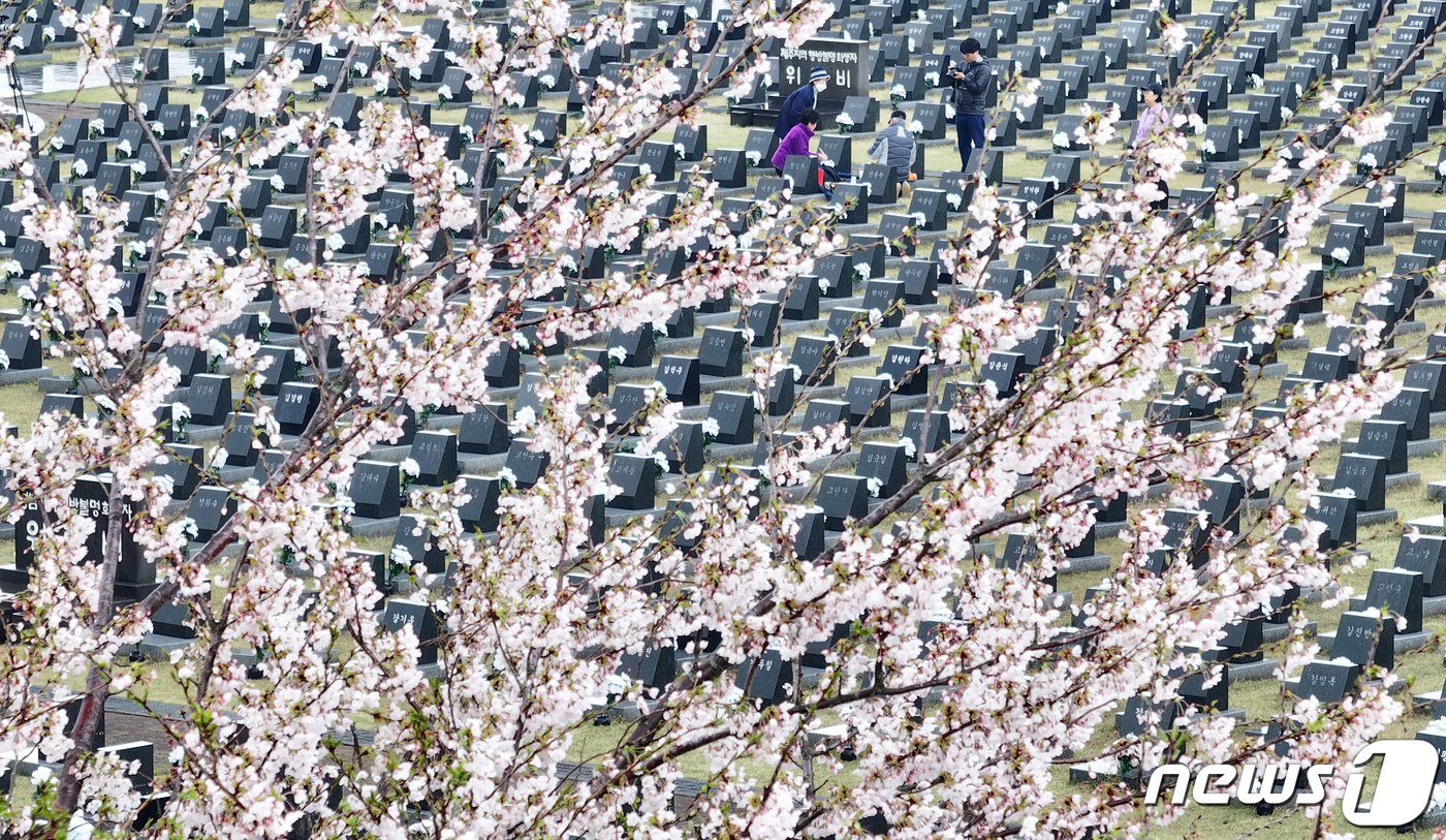 본문 이미지 - 제주시 봉개동 제주4·3평화공원 행방불명인 묘역에서 유족들이 희생자의 넋을 기리고 있디. 2024.4.3/뉴스1 ⓒ News1 오현지 기자