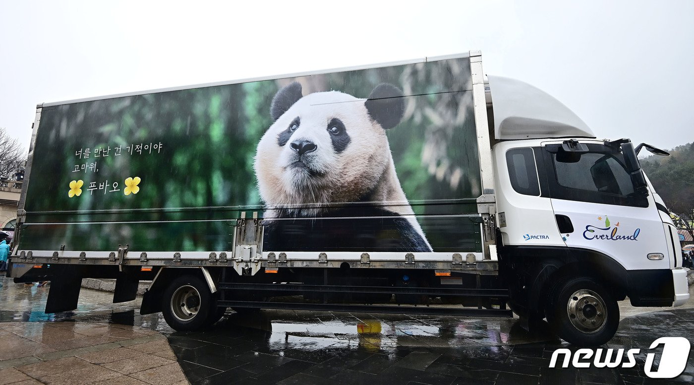 본문 이미지 - 중국으로 가는 자이언트 판다 '푸바오'를 실은 특수차량. 2024.4.3/뉴스1 ⓒ News1 사진공동취재단