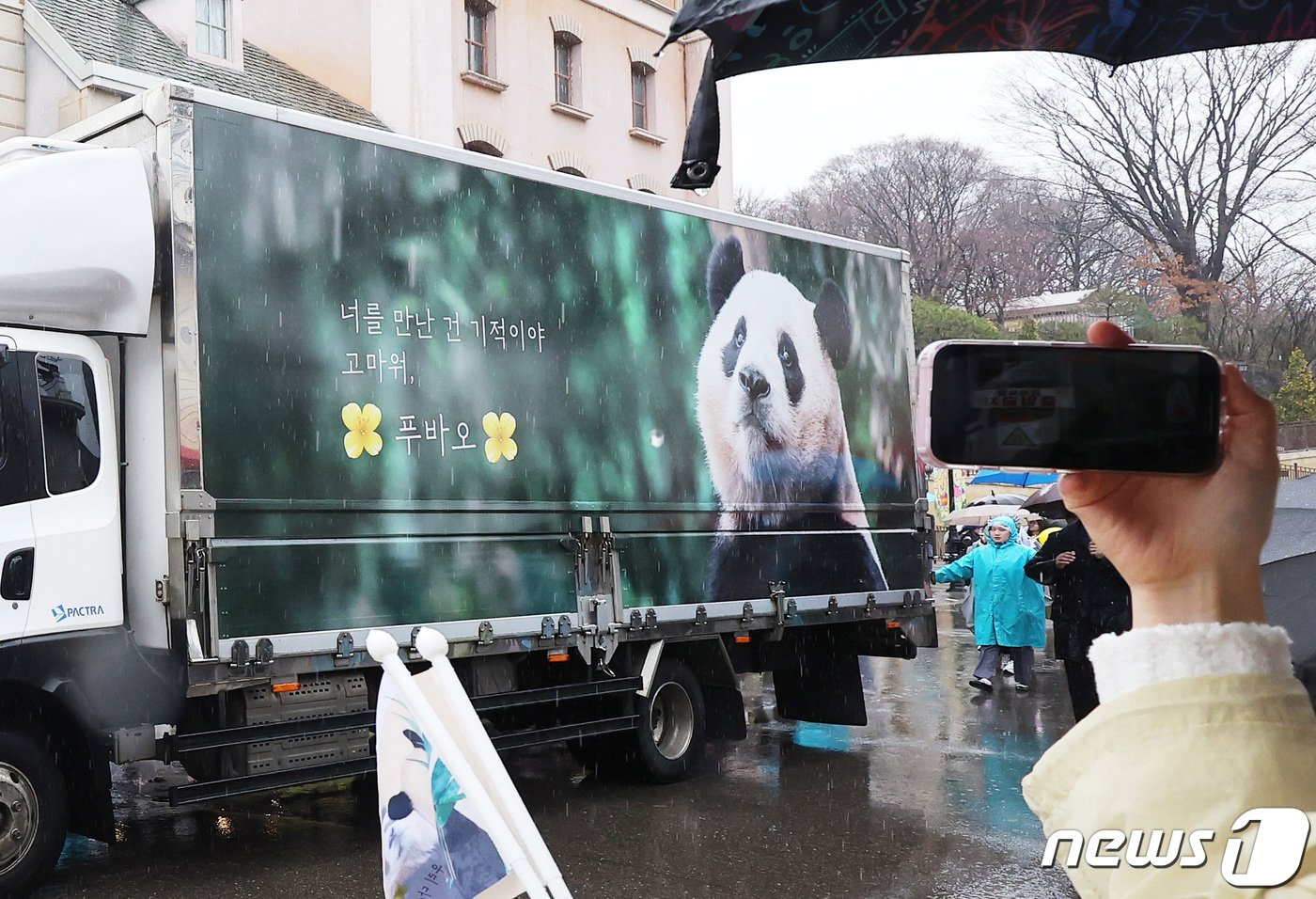 3일 오전 경기도 용인시 에버랜드에서 시민들이 중국으로 떠나는 자이언트 판다 &#39;푸바오&#39;를 싣고 있는 무진동 특수 차량을 보며 배웅하고 있다. 2024.4.3/뉴스1 ⓒ News1 사진공동취재단