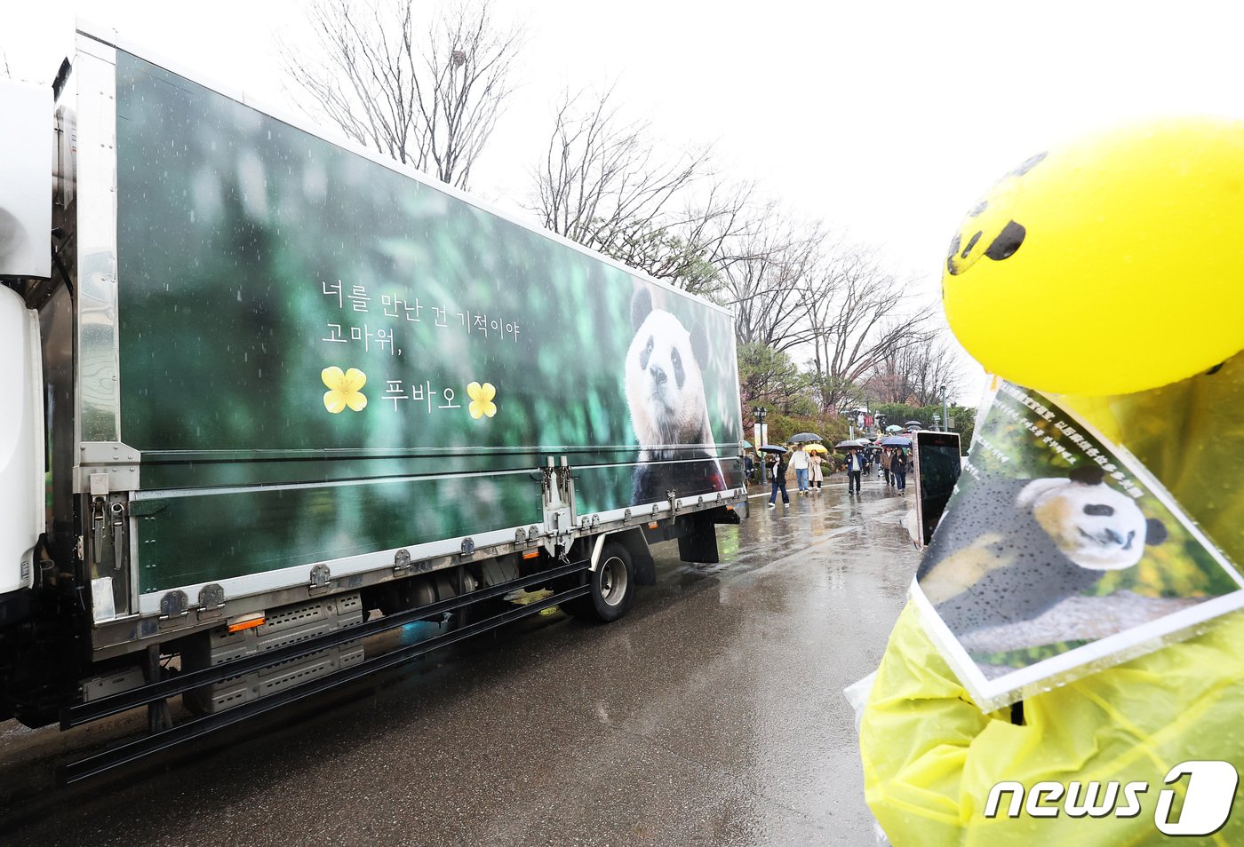 3일 오전 경기도 용인시 에버랜드에서 시민들이 중국으로 떠나는 자이언트 판다 &#39;푸바오&#39;를 실은 무진동 특수 차량을 보며 배웅하고 있다. 2024.4.3/뉴스1 ⓒ News1 사진공동취재단