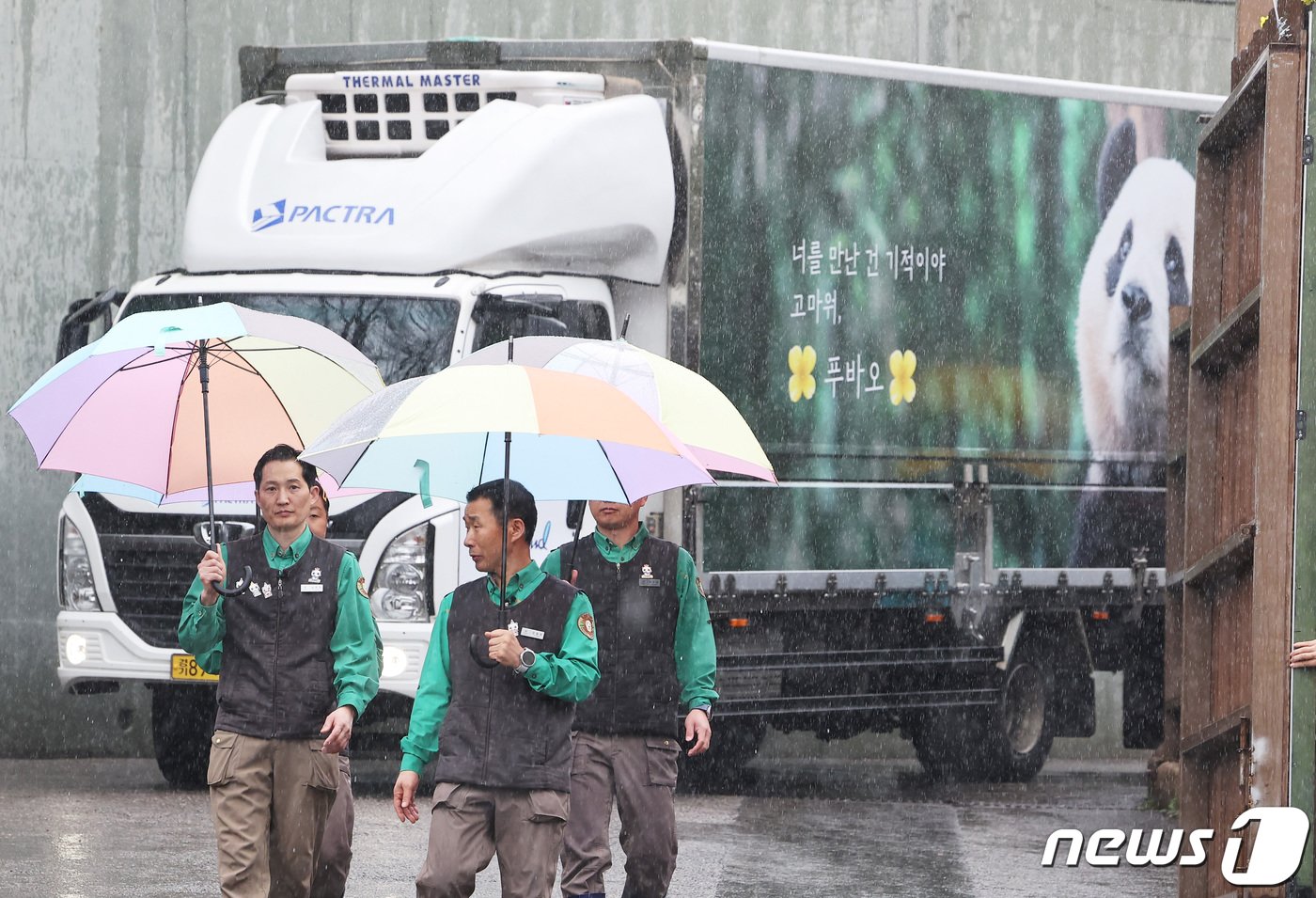 3일 오전 경기도 용인시 에버랜드에서 판다월드 사육사들이 중국으로 떠나는 자이언트 판다 &#39;푸바오&#39;를 싣고 있는 무진동 특수 차량과 함께 걷고 있다. 2024.4.3/뉴스1 ⓒ News1 사진공동취재단