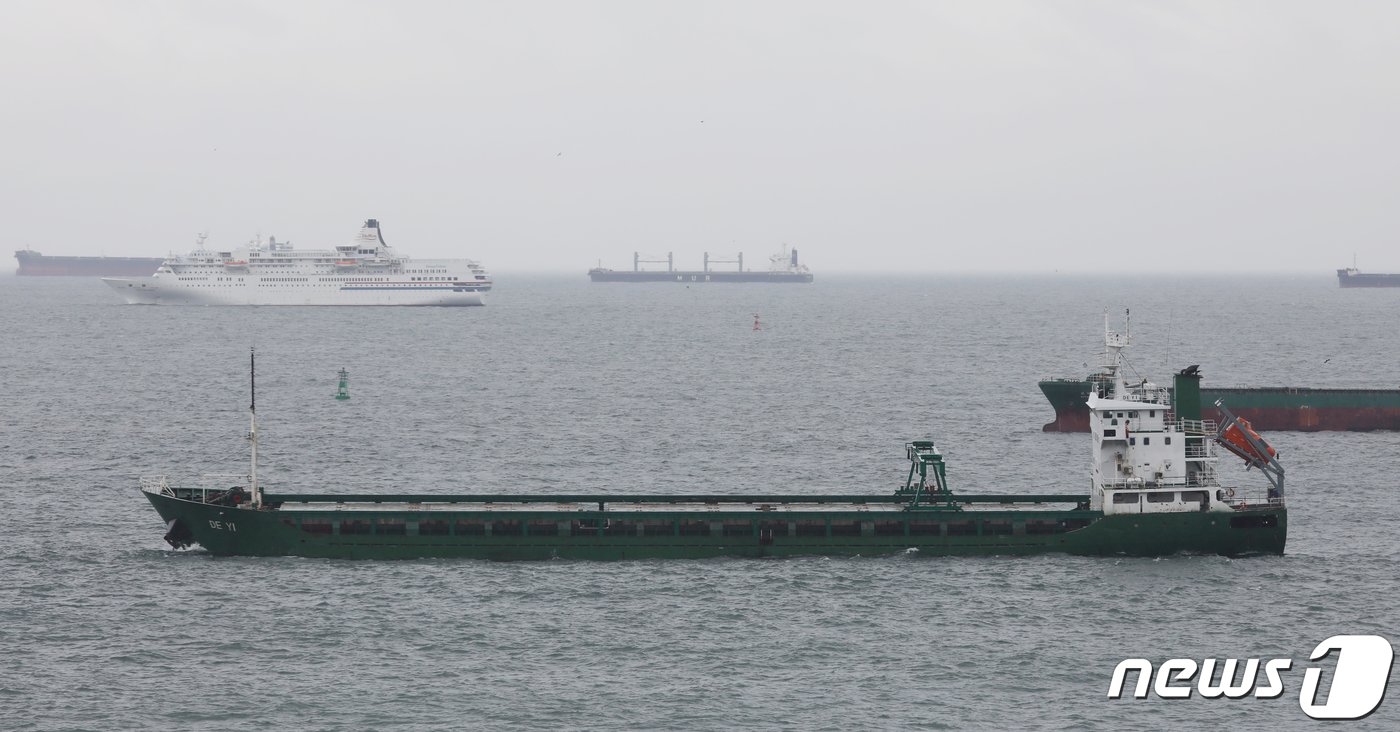 본문 이미지 - 지난달 3일 부산 서구 암남공원 앞바다 묘박지에 대북제재 위반 행위에 연루된 것으로 의심받는 3000톤급 화물선 &#39;DEYI&#39;호가 정박해 있는 사진으로 기사 내용과는 무관함./뉴스1 ⓒ News1 윤일지 기자
