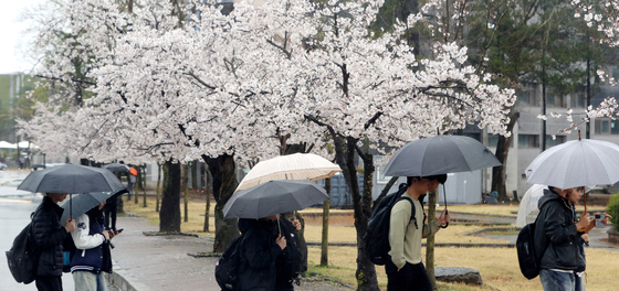 [오늘의 날씨] 전북(1일, 수)…오후 곳에 따라 5㎜ 미만 비