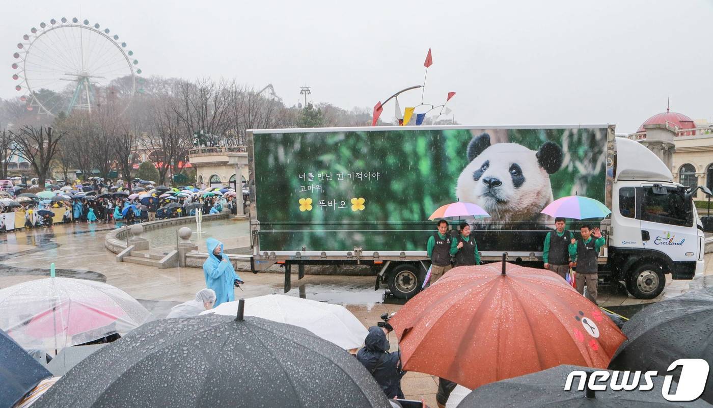 본문 이미지 - 에버랜드 판다월드 사육사들이 3일 오전 경기 용인시 에버랜드에서 중국으로 가는 자이언트 판다 '푸바오'를 실은 특수차량과 기념촬영을 하고 있다. (에버랜드 제공) 2024.4.3/뉴스1