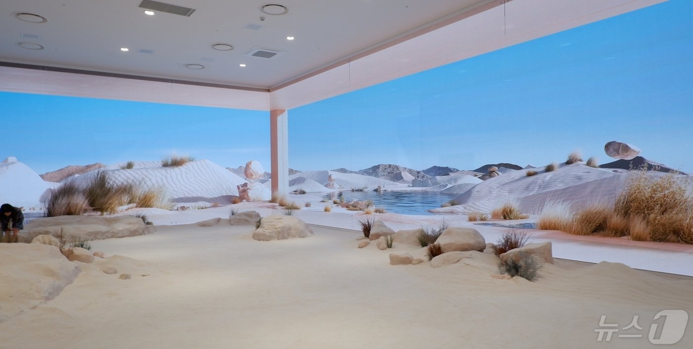 본문 이미지 - 거대한 차을 통해 생명이 태동하는 사막을 구현한 '꽃이 피어나는 사막'ⓒ News1 윤슬빈 기자